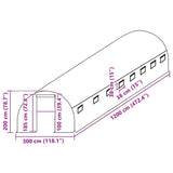 Greenhouse Replacement Cover 300x1200x200 cm Green 316433