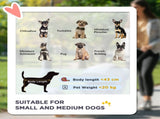 Pet Stroller Dog Pram Foldable Dog Pushchair Cat Travel Carriage w/ Adjustable Canopy, Wheels, for T3398P349594