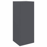 Parcel Drop Box with Storage Anthracite 41 x 38 x 103 cm Steel 874935