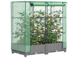 Raised Bed with Greenhouse Cover Rattan Look 80x40x123 cm 4015852