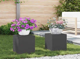 Plant Stand 2 pcs Black 24 x 24 x 35 cm Steel 865806