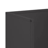 Firewood Rack Black 40x30x80 cm Cold-rolled steel 864187