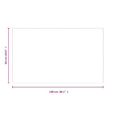 Fireplace Glass Plate Rectangular 100x60 cm 324124