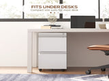 2-Drawer Mobile Filing Cabinet, Steel Lockable File Cabinet for Letter, A4 and Legal Size, T3398P343447