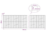 Gabion with 3.5 mm Wire and 10x10 cm Mesh 750x10x100 cm 3463017