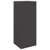 Parcel Drop Box with Storage Black 41 x 38 x 103 cm Steel 874933
