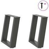 Coffee Table Legs U-Shaped 2 pcs Anthracite 28x cm Steel 4012758
