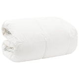 Duvet FULDA 220 x 260 cm Winter 300 GSM 90% Goose Down White 42042784