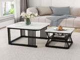 Nest of 2s Square Coffee Coffee Set Nesting Sofa Multi-functional End Side WF308436WAA