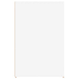 Desk White 100x49x75 cm Engineered Wood 816784