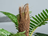 Set of 2 Artificial Plant Tropical Palm in Pot, Fake Plants for Home Indoor Outdoor Decor, 150cm, T3398P377670