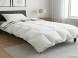 100%cotton 42041962