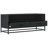 TV Cabinet Black 100x34.5x40 cm Engineered Wood and Metal 848814