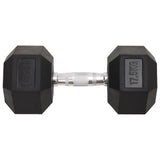Dumbbell 17.5 kg Cast Iron 93607