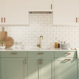 Cabinet Handles 20 pcs Bronze 96 mm Stainless Steel 3203660
