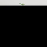 Wall Mounted TV Cabinet High Gloss White 40x34,5x80 cm 816674