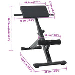 Hyperextension Bench Black 101 x 70 x 71 cm Powder-coated steel 42002573