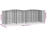 Arched Gabion Raised Bed 200x50x100 cm Galvanised Iron 153546