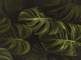 Bedside Cabinet ELBURG 2 pcs Sonoma Oak 36 x 33 x 50 cm 8007198