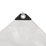 Tarpaulin 650 g/m 2x3 m White 43838