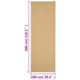 Rug Natural Sisal 100x300 cm 136314
