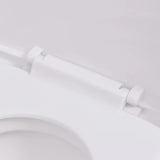 Wall Hung Toilet Ceramic White 244270