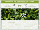 12PCS Artificial Boxwood Wall Panels 50cm x 50cm Grass Privacy Fence Screen Faux Hedge Greenery T3398P552554