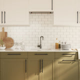 Cabinet Handles 20 pcs Black 224 mm Stainless Steel 3203696