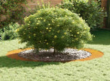 suitable for Flat Tree Rings 5 pcs Brown 90 / 120 cm 873731