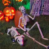 Halloween Decoration Skeleton 2 pcs White Polypropylene 42020050