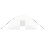 Greenhouse with Steel Frame White 60 m² 10x6x2.85 m 3188119