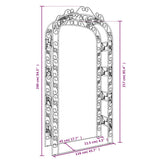 Garden Arch Black 116x45x240 cm Steel 319350