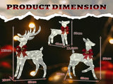 3-Piece Lighted Christmas Reindeer Set Outdoor Decorations, Weather Proof Sparkling Deer 21962879
