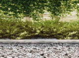 Lawn Edging 4 pcs Silver 450 x 0.05 x 10 cm Galvanised Steel 868019