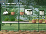 Walk-in Greenhouse with 3 Tier 12 Shelves, Small Greenhouse with Reinforced PE Cover, Garden Plant T3398P377619