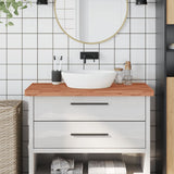 Bathroom Countertop 100x50x4 cm Solid Wood Beech 356006