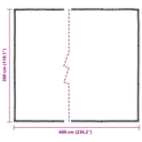 Clear Tarpaulin with Eyelets 3x6 m Polyethylene 4018558