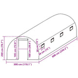Greenhouse Replacement Cover 3x6x2 m Transparent 316437