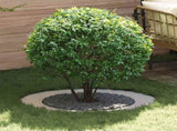 suitable for Flat Tree Ring Silver 60 / 90 cm Stainless steel 873712