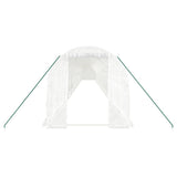 Greenhouse with Steel Frame White 48m 24x2x2 m 3188038