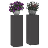 Plant Stand 2 pcs Black 24 x 24 x 75 cm Steel 865820