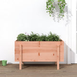 Garden Raised Bed 101x50x57 cm Solid Wood Douglas 825217