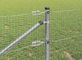 Welded Wire Fence with Spikes 10 x 0.6 m 3351919