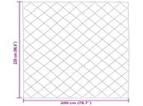 Winter Duvet 200 x 220 cm 450 gsm Microfiber 42025664