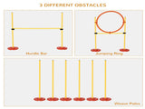 Dog agility training equipment 84793303