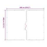 Clear Tarpaulin with Eyelets 4x6 m Polyethylene 4018520