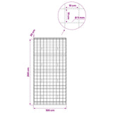 Gabion with 5 mm Wire and 10x10 cm Mesh 100x30x200 cm 3465164