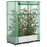 Raised Bed with Greenhouse Cover Rattan Look 80x40x123 cm 4015838