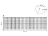 Gabion with 5 mm Wire and 10x10 cm Mesh 550x10x200 cm 3464981