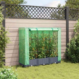 ZNTS Raised Bed with Greenhouse Cover Rattan Look 120x40x123 cm 4015825